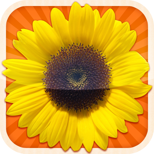 Learn By Fun Flowers LOGO-APP點子