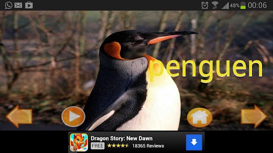 Download hayvanlar alemi APK for Android