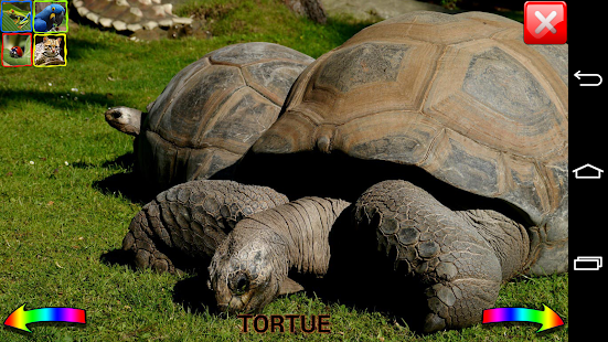 Download Fun Zoo Free APK for Android