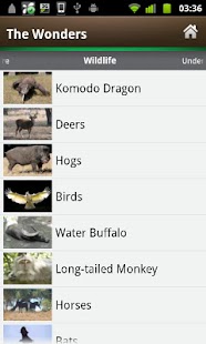 EI: Komodo Island Screenshots 1