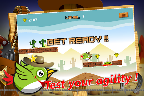 download Desert Bird Run free