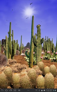 Free Desert Free Live Wallpaper APK for Android