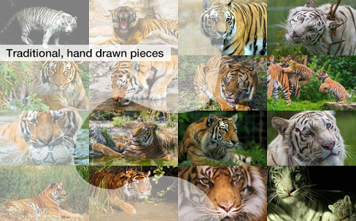 【免費休閒App】Tiger Jigsaw Puzzles-APP點子