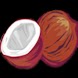 Spinning Coconut