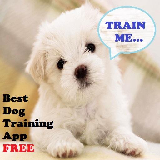 Dog Trainers Guide LOGO-APP點子