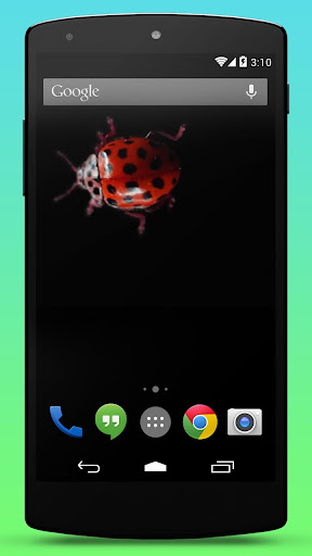 【免費個人化App】瓢虫动态壁纸-APP點子