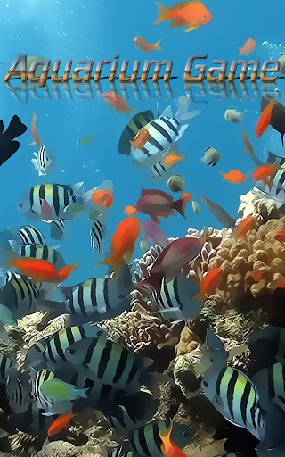 水族館遊戲