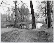 De Dinkel bij Denekamp