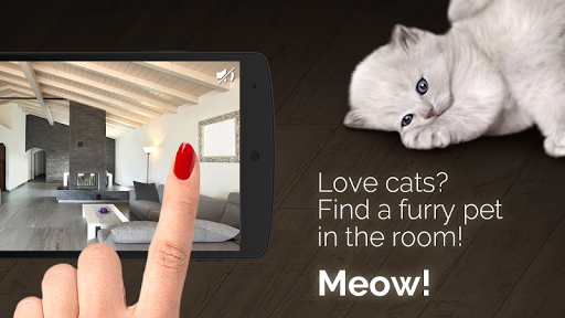 Meow: Find Cat simulator