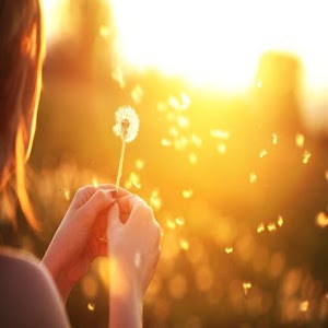 حكم من الحياة مصورة.apk 1.5