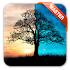 Day Night Live Wallpaper (All)1.4.7 (Paid)
