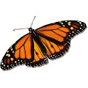 MONARCA RCT logo