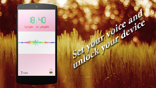 Voice Locker