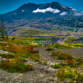 by Christopher Barker - Landscapes Mountains & Hills