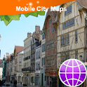 Troyes Street Map logo
