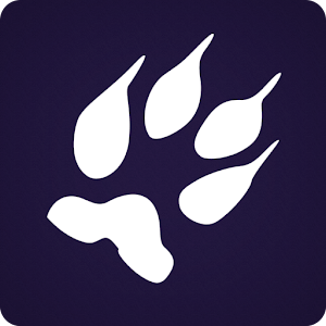 Cougars-Avenue logo