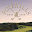 Pinehills Golf App Download on Windows