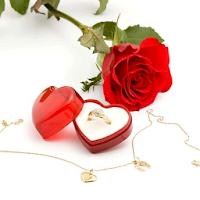 「Valentine Day Live Wallpaper」 - Androidアプリ | APPLION