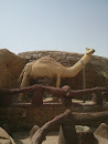 Utopia Camel