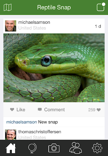 Reptile Snap