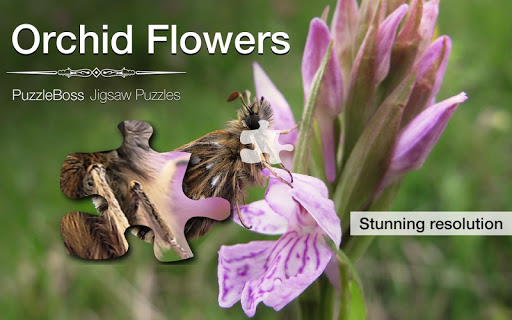 Orchid Flower Jigsaws Demo