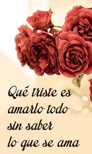 Frases para conquistar