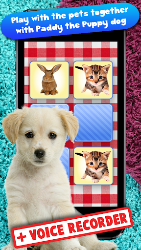 Free Memo Game Pets Photo Kids