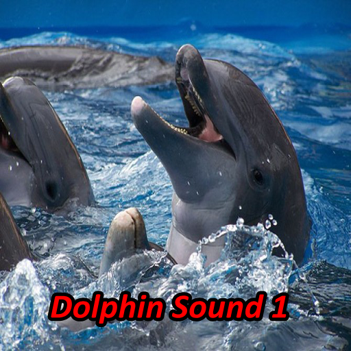 【免費工具App】Dolphin Soundboards-APP點子