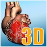 Explore heart in 3D Application icon