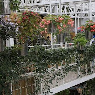 香草菲菲 芳香植物博物館