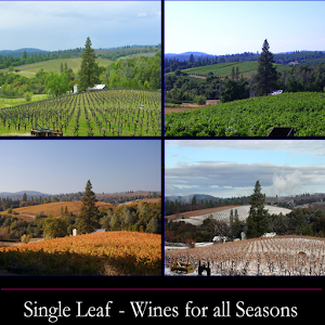 Single Leaf Vineyards & Winery 0.1
