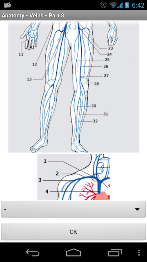 Anatomy - Veins - Android Apps on Google Play