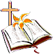 Biblia Espanol Visual Audio