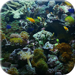 Cover Image of 下载 Aquarium Video Live Wallpaper 1.0 APK