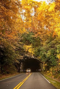 Lastest Autumn Images APK for PC