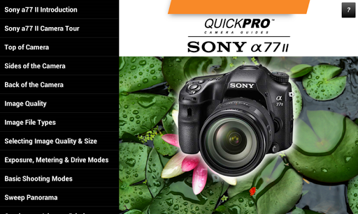 Guide to Sony a77 II