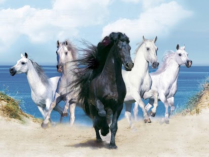 Free Horse Wallpaper APK for Android