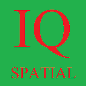IQ Test Spatial (Accurate).apk 1.0