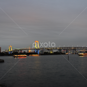 Rainbow Bridge by Pranav S - Buildings & Architecture Bridges & Suspended Structures