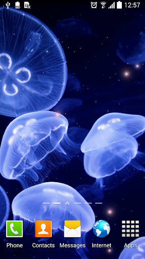 Jellyfish Live Wallpaper