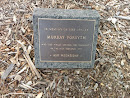 Murray Forsyth Memorial Plaque