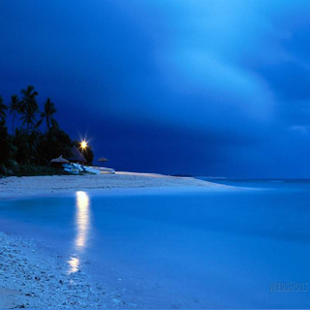 Beaches at Night Wallpaper - náhled