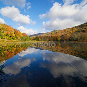 Fall Colors Impression I by Michael Otter - Landscapes Waterscapes