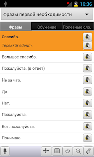 Russian<->Turkish Phrasebook Screen 2