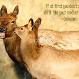 Do What Your Mother Told You! by Jennifer McWhirt -  