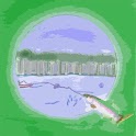 SC Trout Fishing logo