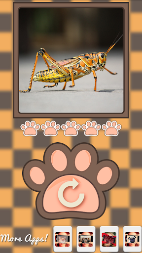 【免費模擬App】What animal am i?-APP點子