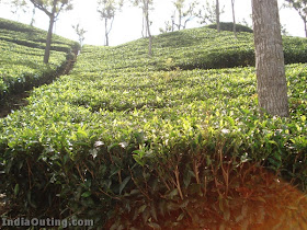 Please wait while images are being loaded.....by Wowmailz