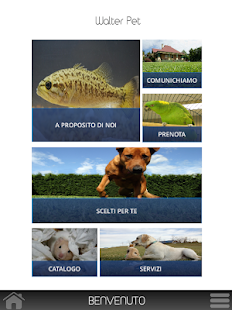 How to get Walter Pet lastet apk for laptop