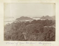 Zicht op de haven van Singapore en de nabij gelegen bebossing